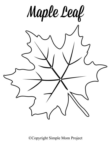 printable maple leaf outline|leaves template printable free.